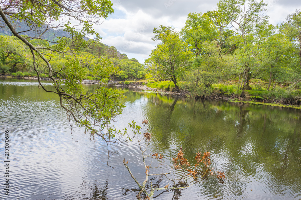 Panorama of edge and surroundings of a lake in a national park in summer Panorama of edge and surroundings of a lake in a national park in summer