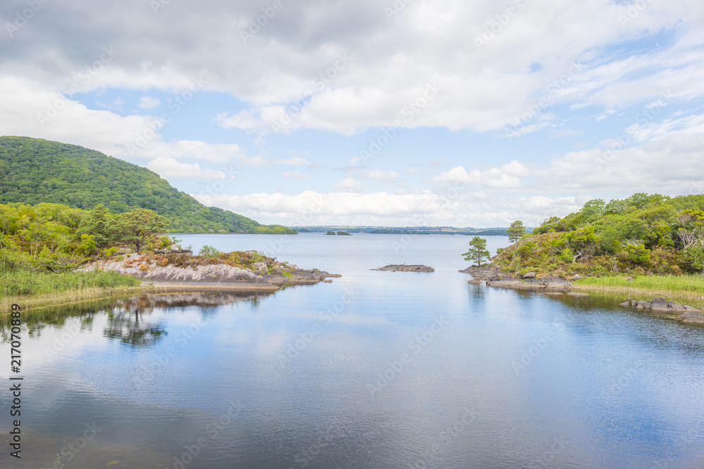 Panorama of edge and surroundings of a lake in a national park in summer Panorama of edge and surroundings of a lake in a national park in summer