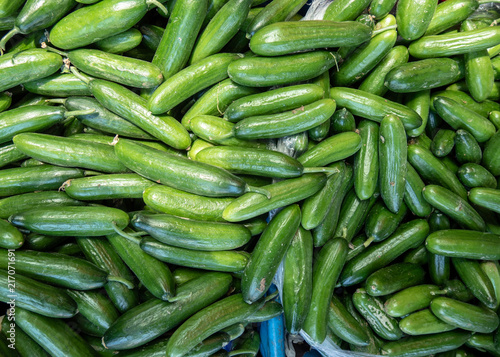 fresh cucumbers. cucumber vegetables background