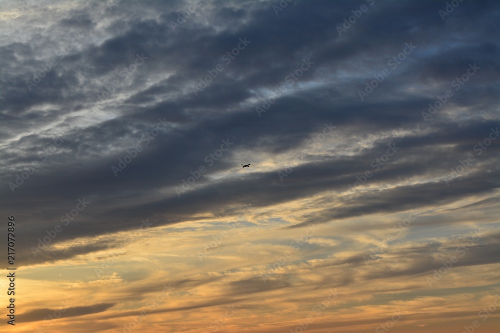 Obraz premium In flight