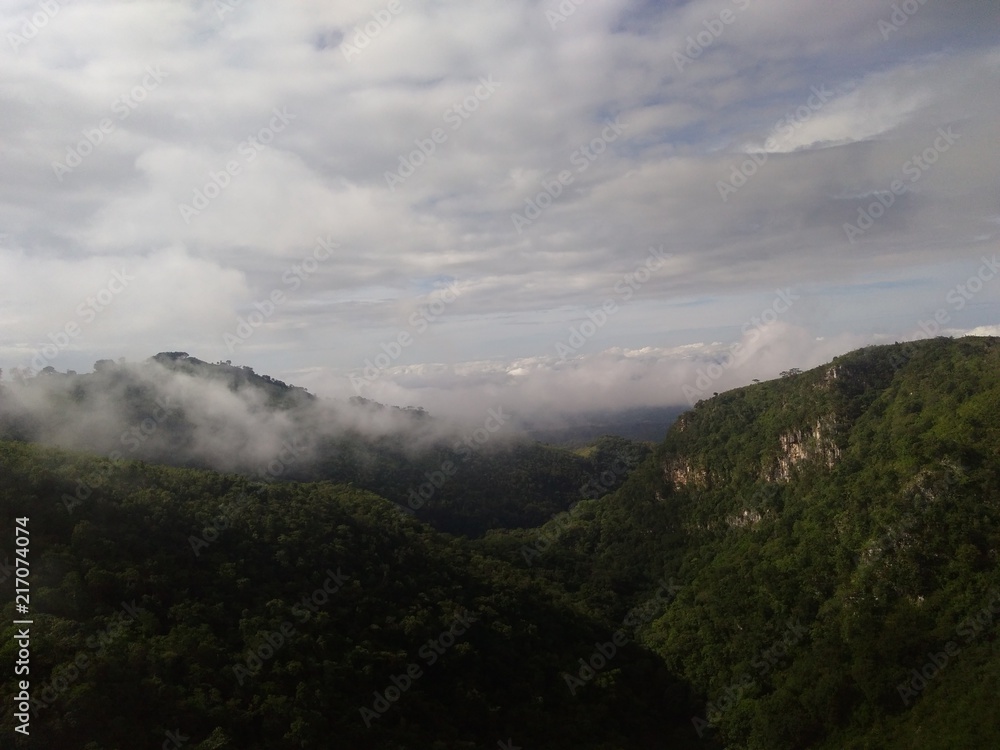 Niebla Niebla