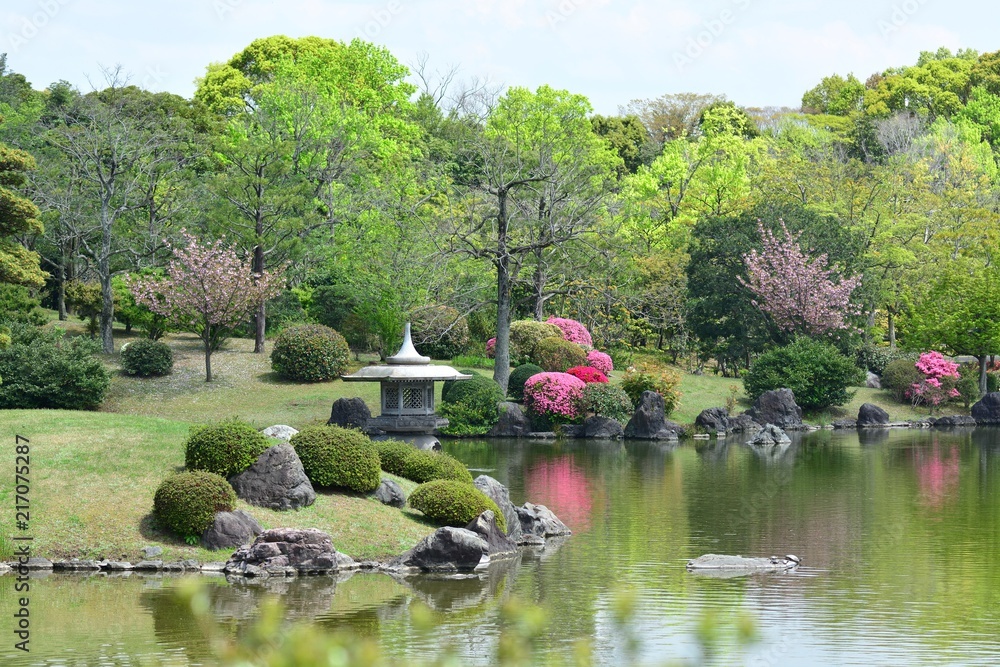 春爛漫の日本庭園の情景stock Photo Adobe Stock