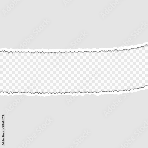 Pieces of torn paper on a transparent background. Vector illustration for your design.