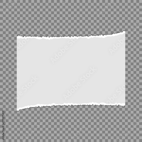Pieces of torn paper on a transparent background. Vector illustration for your design.