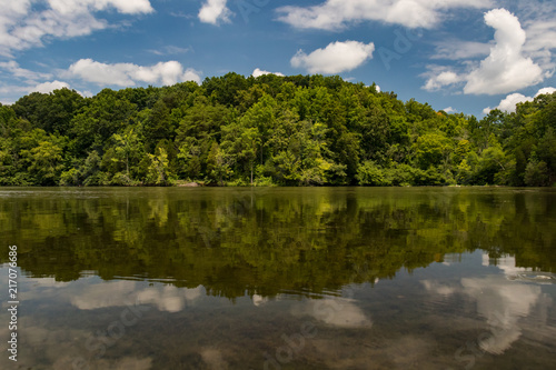 Treescape with blue sky and white clouds reflection in lake