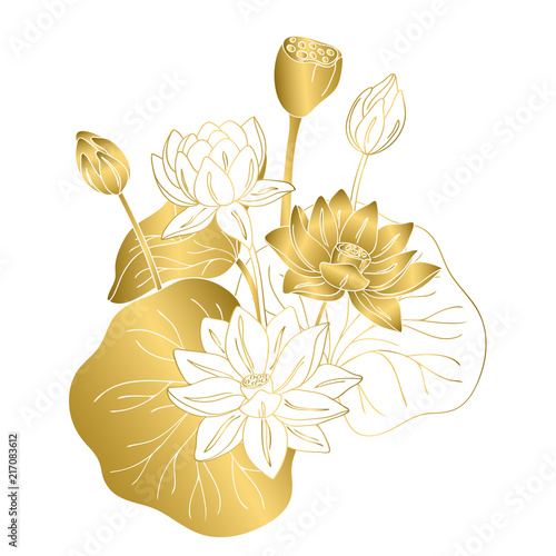 vector contour color gold  lotus lily Chinese Asian symbol flower card
