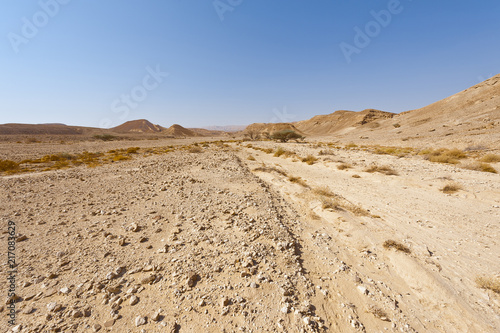 Melancholy and emptiness of the desert in Israel.