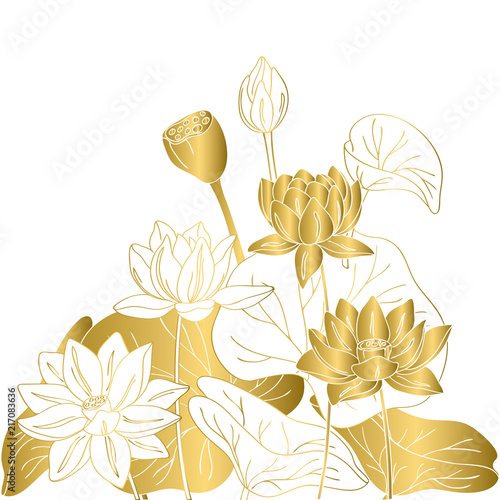 vector contour color gold  lotus lily Chinese Asian symbol flower card
