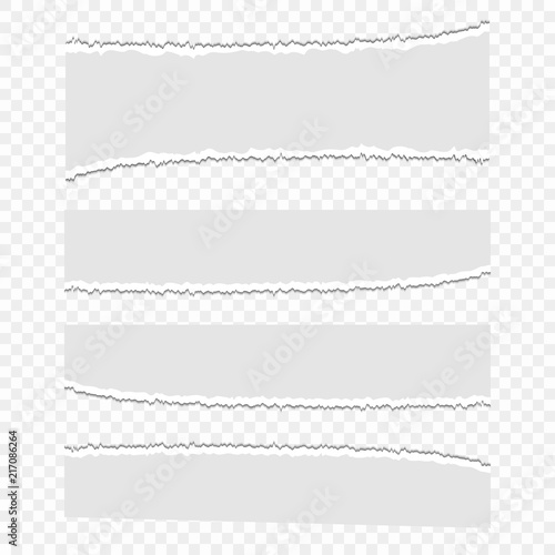 Set of vector paper scraps on a transparent isolated background. Pieces of paper, garbage. Pieces of torn paper.