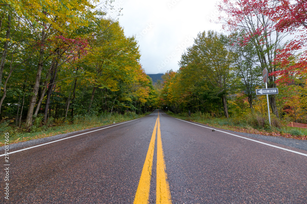Road to Paradise City - Vermont, NH during Fall season Road to Paradise City - Vermont, NH during Fall season