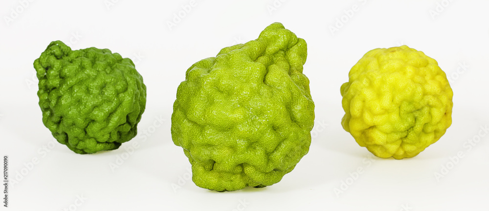 three tone color of bergamot three tone color of bergamot