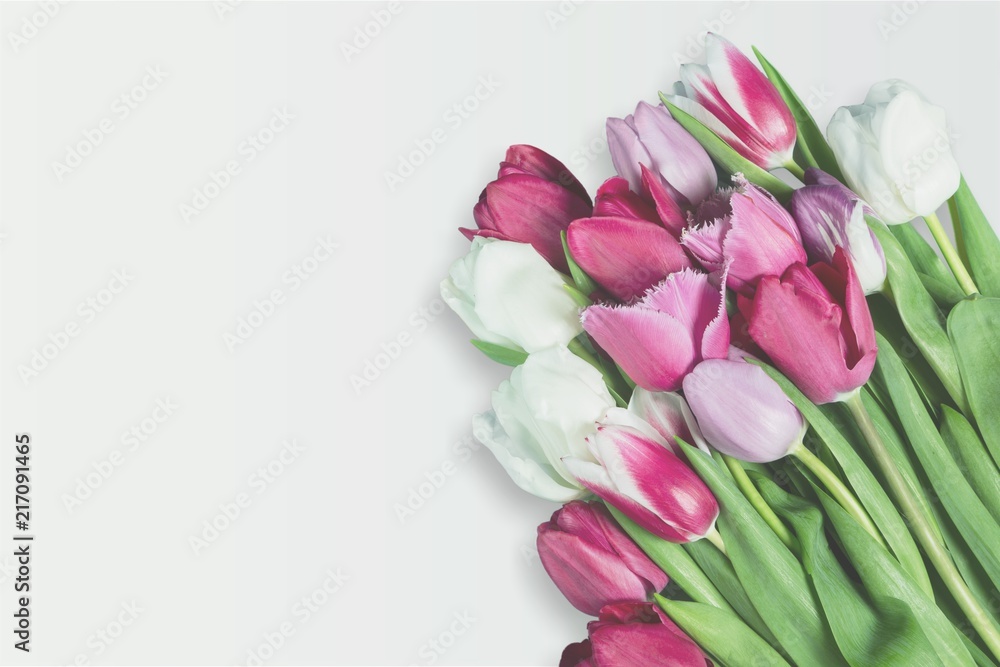Obraz premium Different color tulips on background