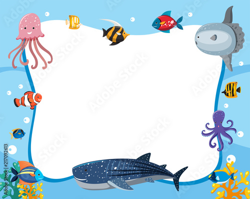 An underwater animals border