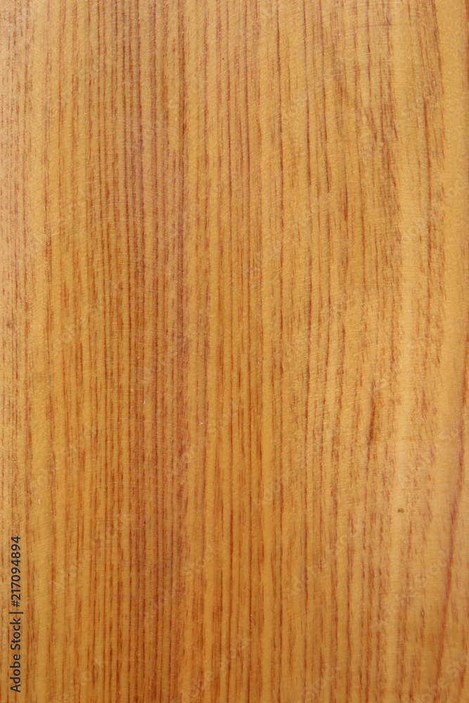 Natural texture ofsandalwood trees fragrant in lao. Extremely high resolution photo Natural texture ofsandalwood trees fragrant in lao. Extremely high resolution photo