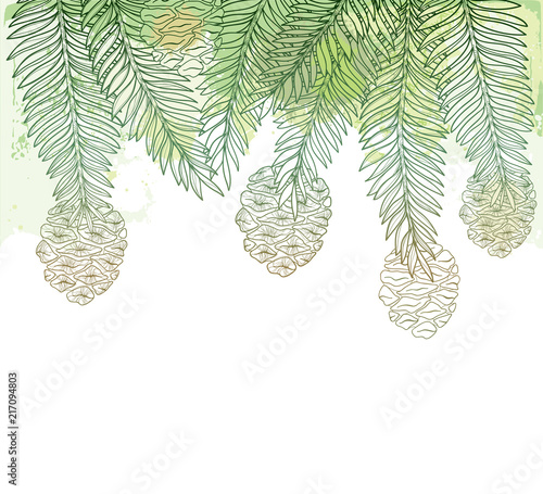 Vector branch with outline Sequoia or California redwood on the pastel green textured background. Bunch of coniferous tree with pine and cones in contour style for botanical design.