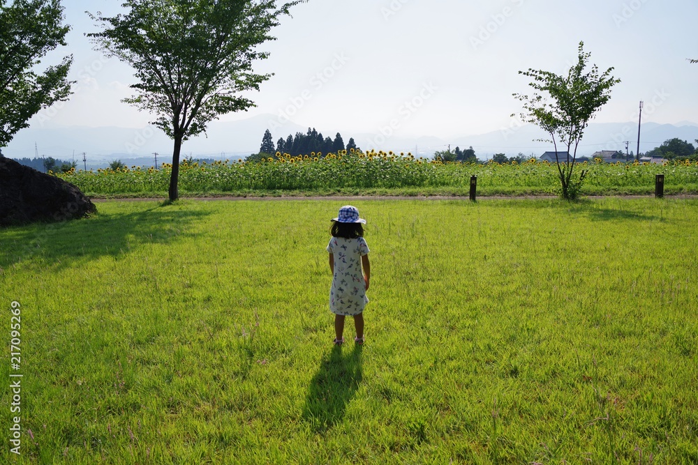 ヒマワリ畑を歩く女の子