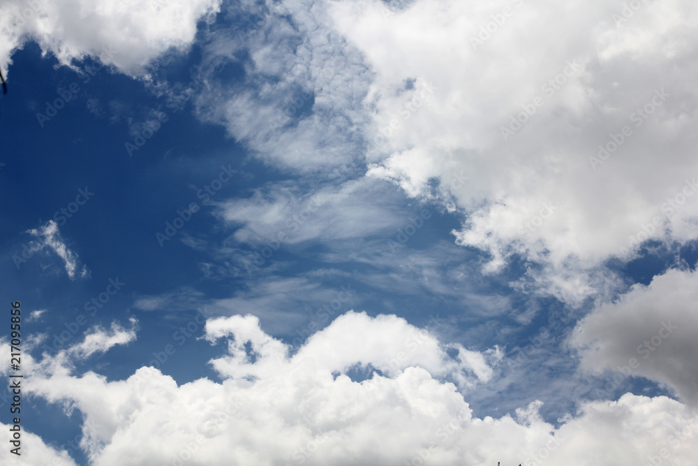 Fototapeta premium Sky and sunshine.