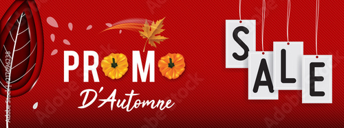 Autumn sale background layout decorate with leaves for shopping sale or promo. Autumn special offer design vector.