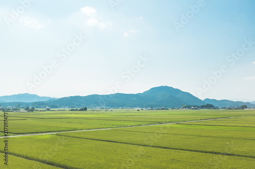 日本の田舎風景