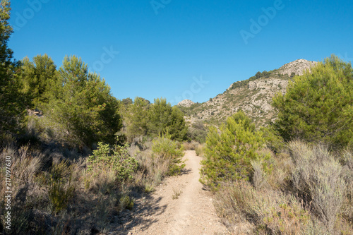 Trails of the desert of the palms in Castellon