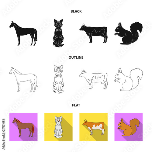 Horse, cow, cat, squirrel and other kinds of animals.Animals set collection icons in black,flat,outline style vector symbol stock illustration web.