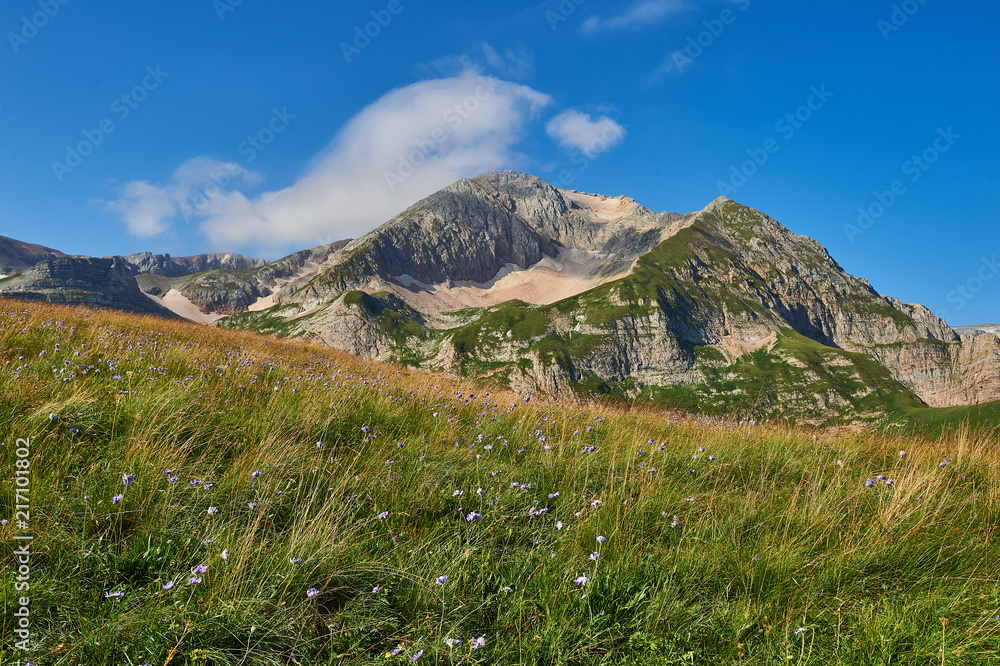 Fototapeta premium The Caucasus mountains in Russia