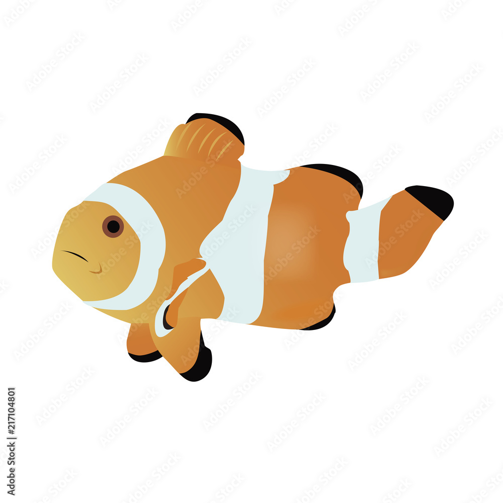 クマノミ Stock イラスト Adobe Stock クマノミ Stock イラスト Adobe Stock