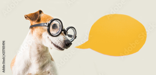 Smart nerd dog jack russell terrier in glasses and speech bubble. Gray and orange. Talking pup © Fly_dragonfly