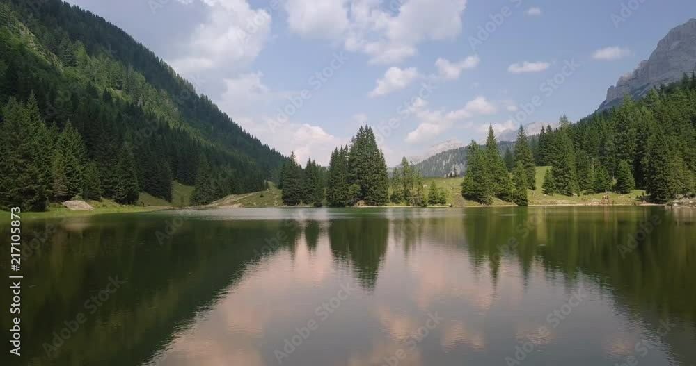 Beautiful landscape of the lake surrounded by trees and grass in a beautiful sunny day. Concept: Nature, travel, freedom Beautiful landscape of the lake surrounded by trees and grass in a beautiful sunny day. Concept: Nature, travel, freedom
