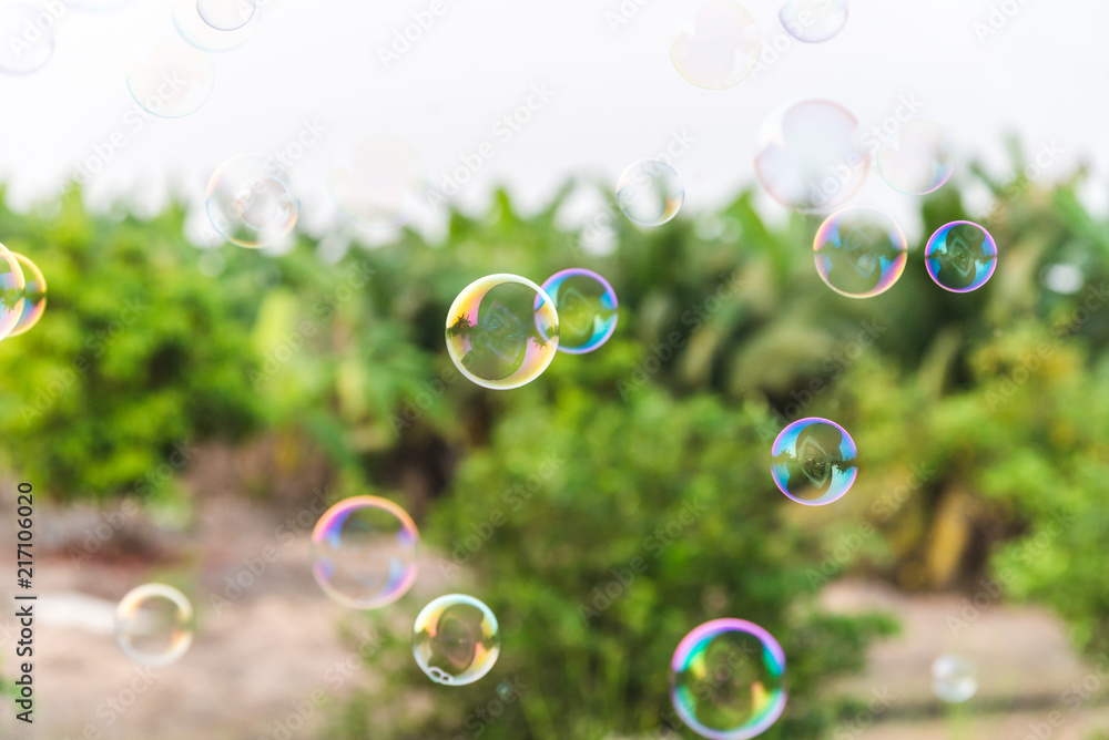 Soap bubbles in the air with natural background, Outdoor activity funny and party