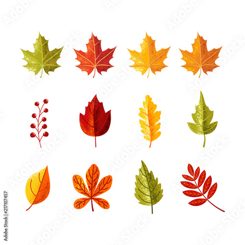 Colorful leaves with grain shadow for autumn season