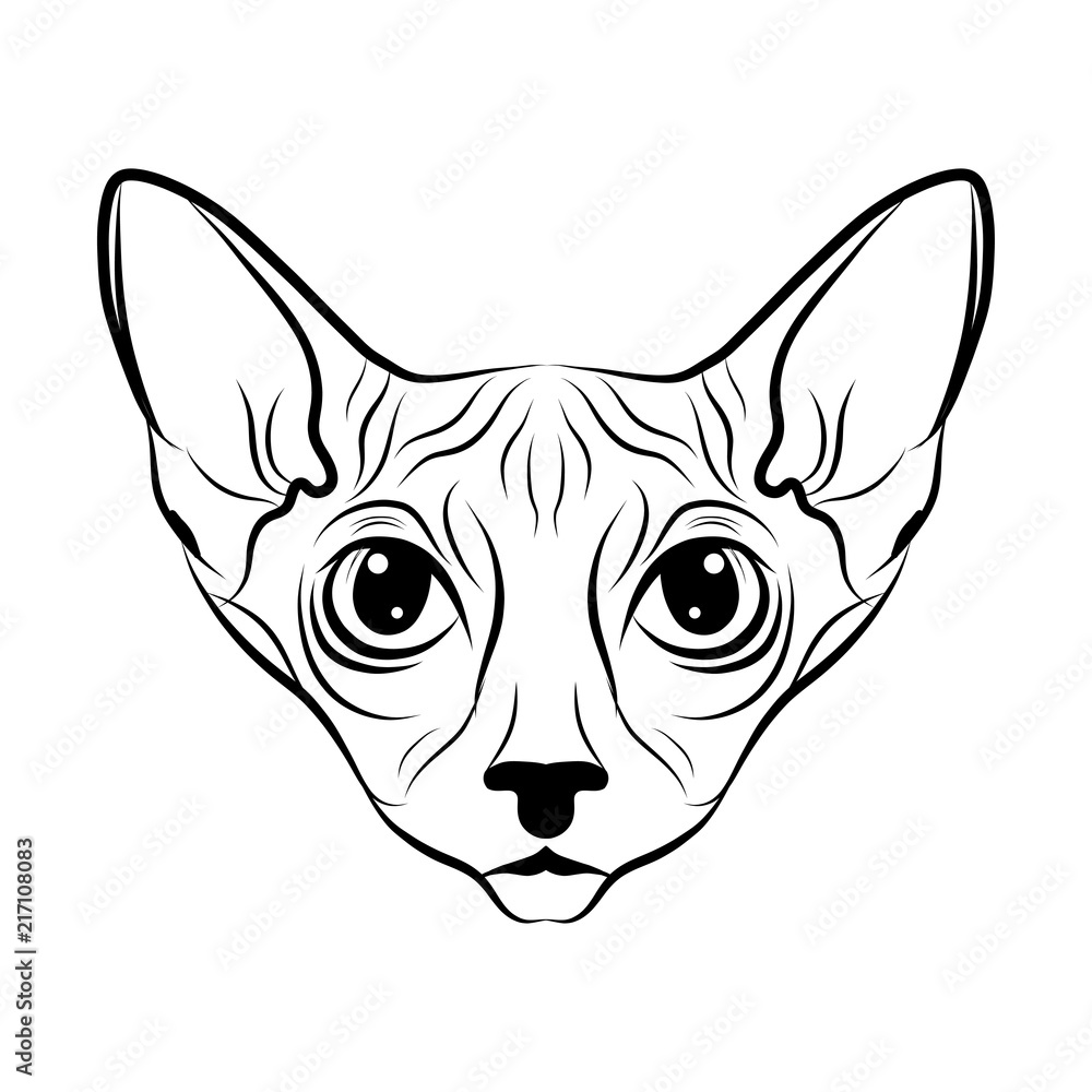 Sphinx. The cat is spotty. Striped. Black and white sketch. Vector graphics. Prints for clothes, T-shirts. Sphinx. The cat is spotty. Striped. Black and white sketch. Vector graphics. Prints for clothes, T-shirts.