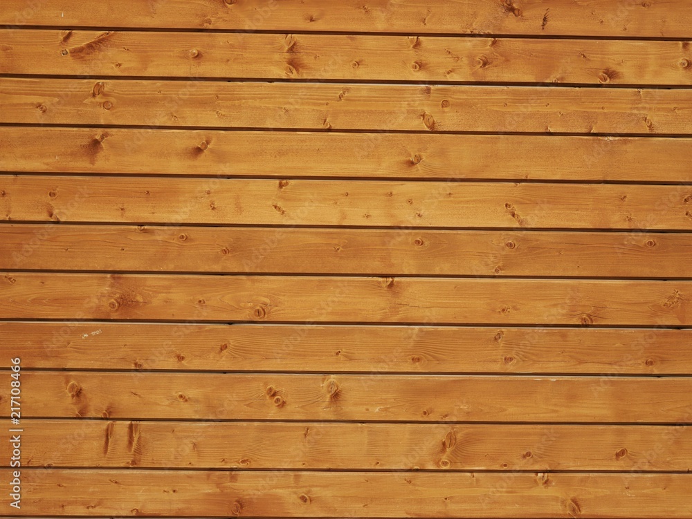 Naklejka premium дерево