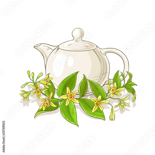 vanilla tea illustration