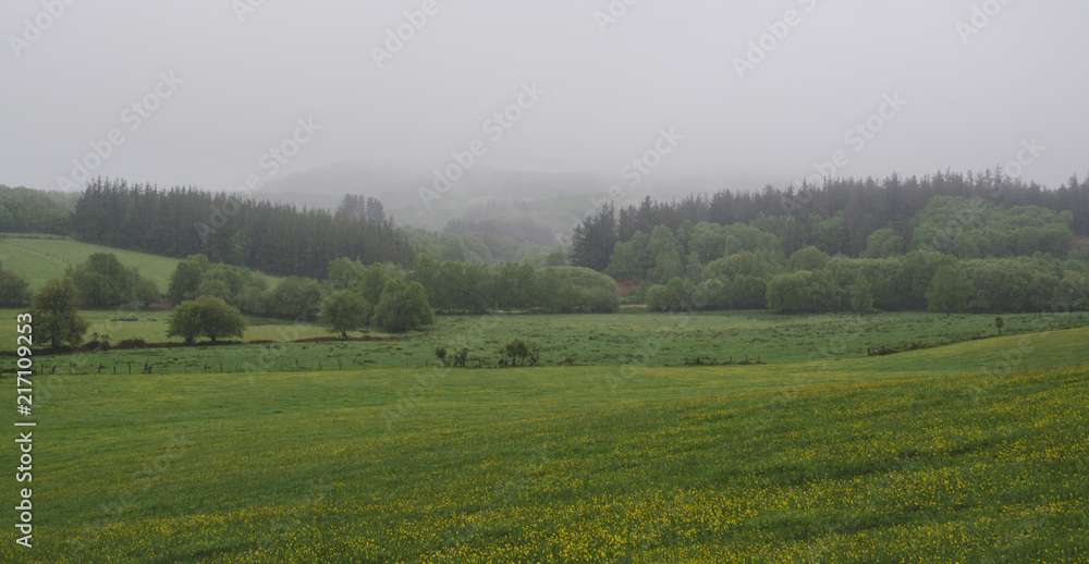 Landscape of meadows and hills with fog.