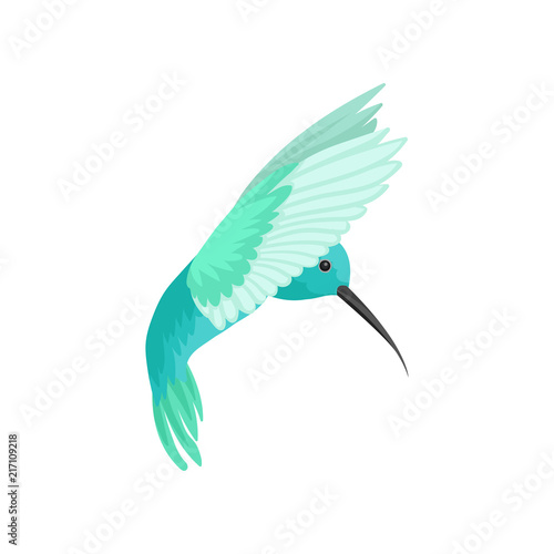 Flat vector icon of beautiful colibri bird. Tropical hummingbird with long thin beak. Wildlife and fauna theme