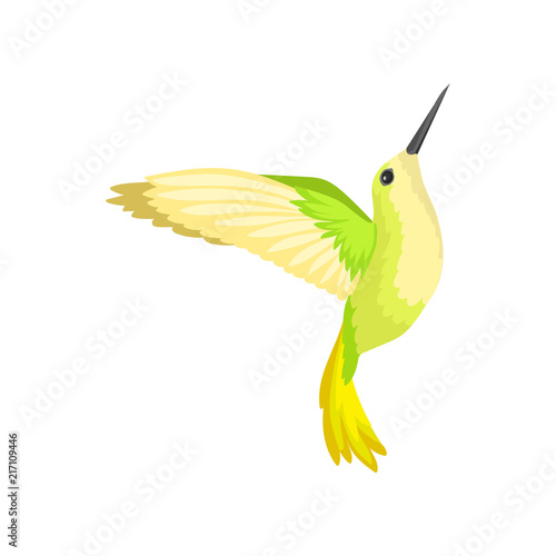 Flat vector icon of beautiful colibri with bright green-yellow plumage. Tropical hummingbird with long thin beak. Wildlife theme