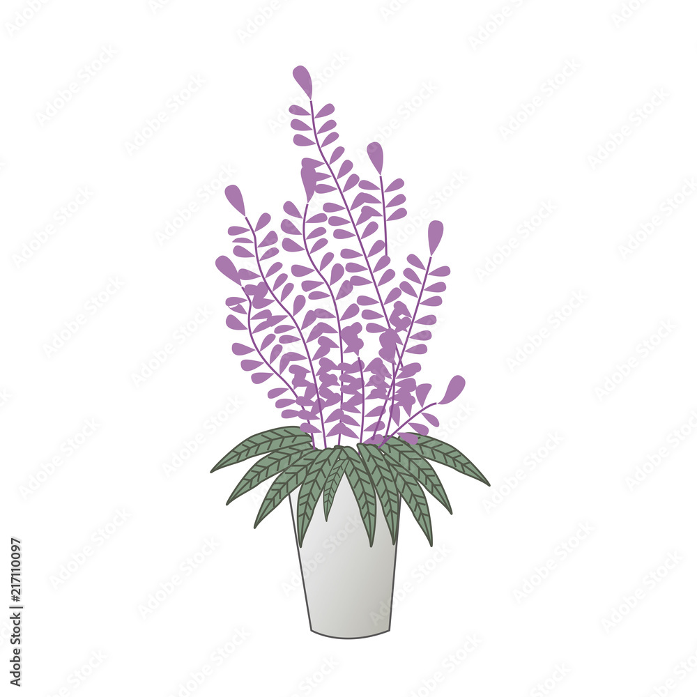 Fototapeta 紫の植物