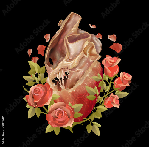 Anatomical heart with floral rose, vintage in vector illustration for T-shirts, tattoo, card.