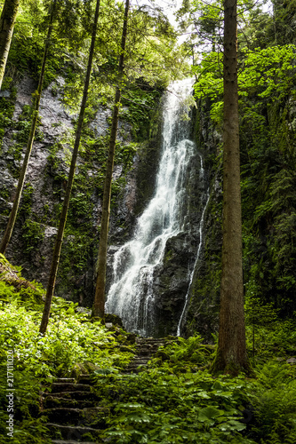 Beautiful view of Waterfall in the lush and green Black Forest  Southern of Germany