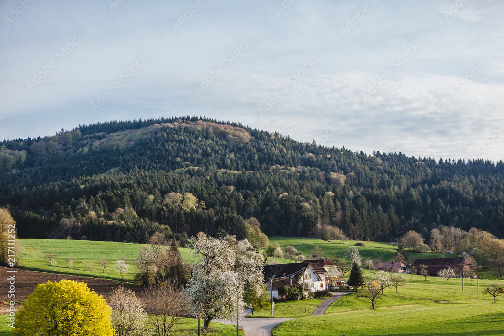 Southern German countryside landscape at spring, village near Black forests