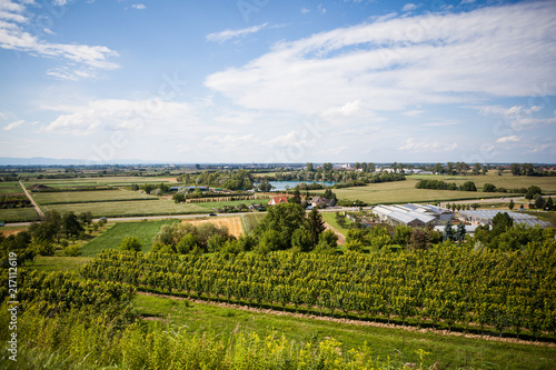 Aerial landscape view to vineyards, lake surrounded with trees and little village in Germany