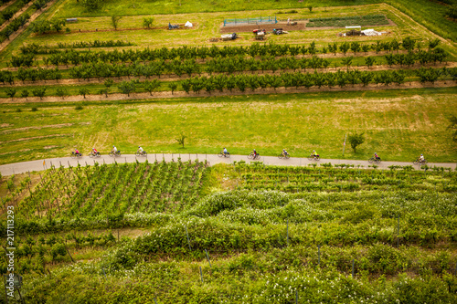 View from above to vineyards landscape with cyclists in a row