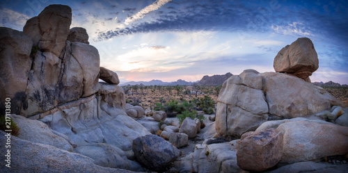 Obraz na płótnie Sunset in Joshua Tree NP w salonie