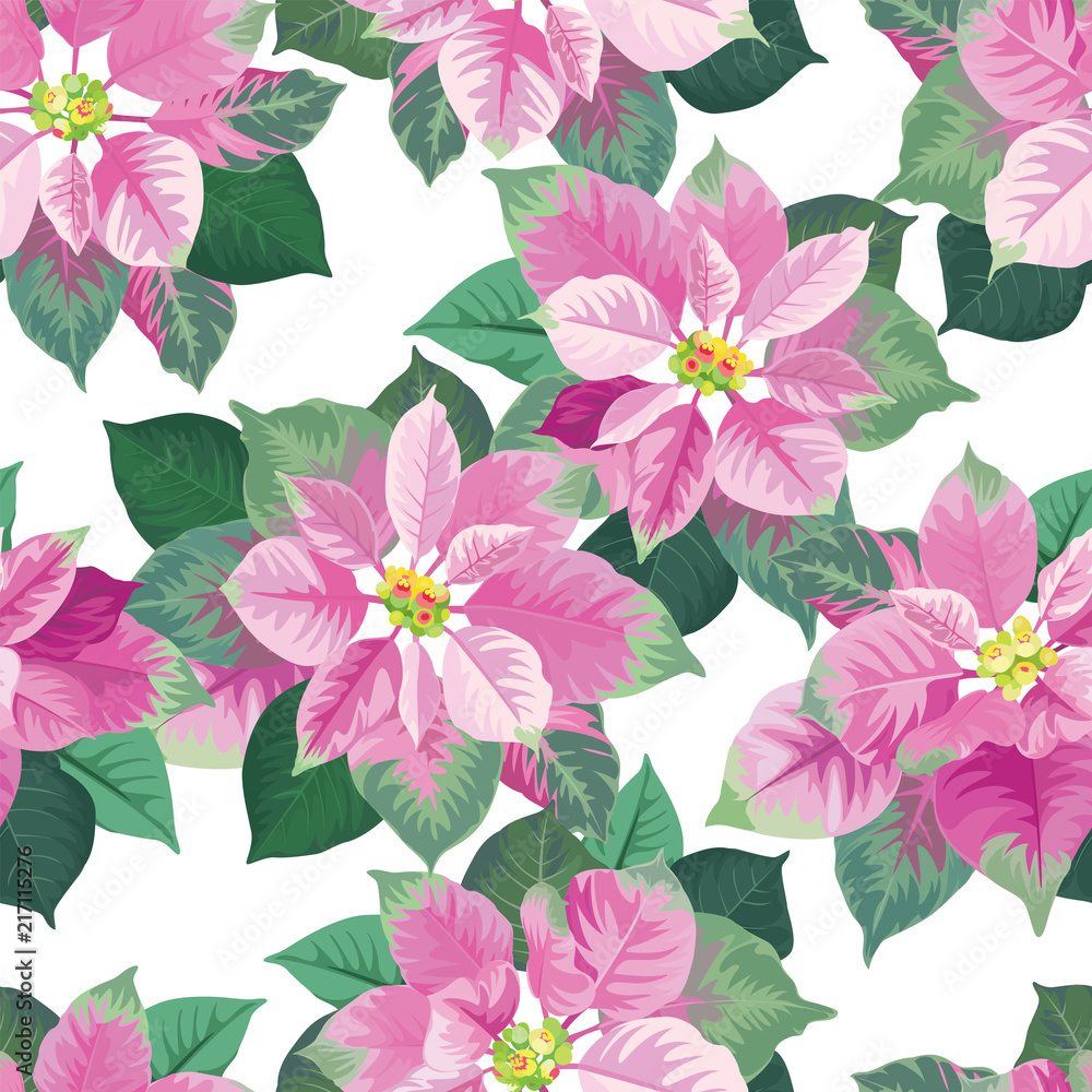 Seamless pattern of Poinsettia flowers in pink and green color frame on white background. Vector set of Christmas elements for holiday invitations, greeting card and advertising design. Seamless pattern of Poinsettia flowers in pink and green color frame on white background. Vector set of Christmas elements for holiday invitations, greeting card and advertising design.