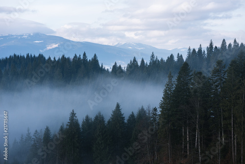 Spring landscape with fog in the mountains