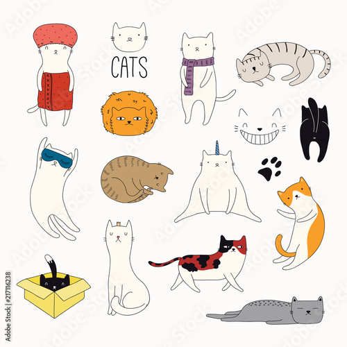 Set of cute funny stickers with color doodles of different cats with  quotes. Isolated objects. Hand drawn vector illustration. Line drawing.  Design concept for print, logo, icon, badge, label, patch. Stock Vector