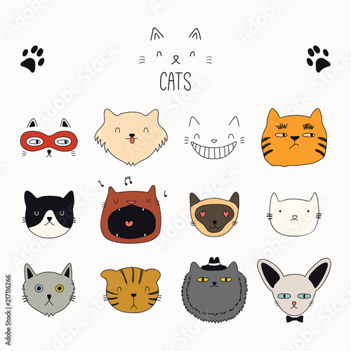 Set of cute funny color doodles of different cats faces. Isolated objects on white background. Hand drawn vector illustration. Line drawing. Design concept for poster, t-shirt, fashion print.