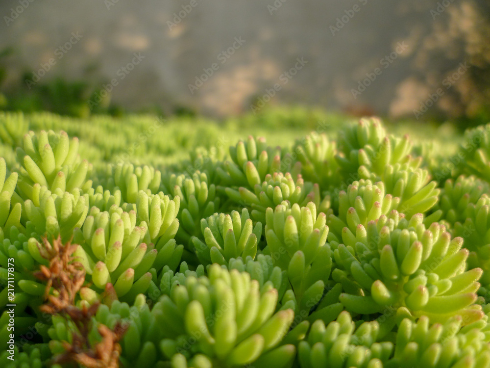 this is very interesting. beautiful nature this is very interesting. beautiful nature