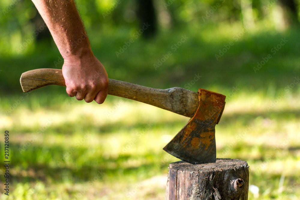 Old ax against a background of green grass Old ax against a background of green grass